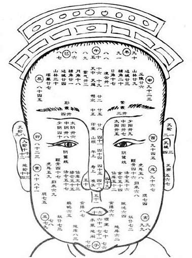 陰騭紋|相學講義：詳解「陰騭紋與科名星」